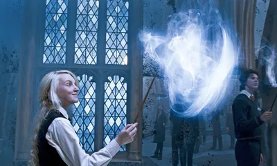 Стандартная книга заклинаний. 5 курс | Гарри Поттер вики | Fandom