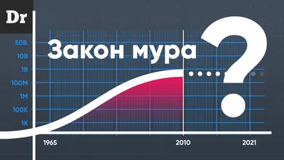 Закон кармы в действии. Составляющие здоровья и процветания\" | Синельникова  Людмила Анатольевна - купить с доставкой по выгодным ценам в  интернет-магазине OZON (1213521811)