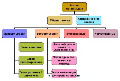 Акция “Я и закон” (“Правовое просвещение”) – Муниципальное Бюджетное  Общеобразовательное Учреждение «Средняя общеобразовательная школа № 86 г.  Челябинска»