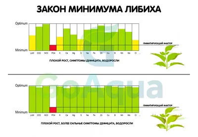 Что такое закон Парето, суть и примеры | WOWPROFI