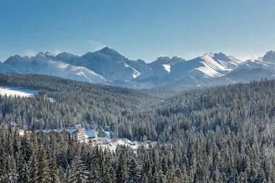 Ландшафт природы, горы Tatra, Zakopane, Польша Стоковое Фото - изображение  насчитывающей подъем, место: 80075956