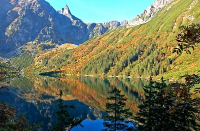 Хохоловская долина | Zakopane - oficjalny serwis internetowy