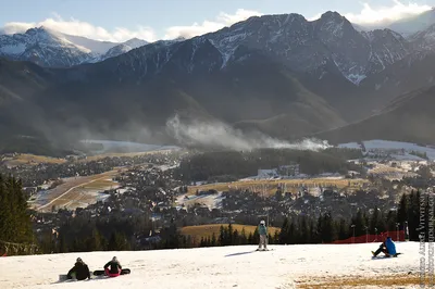 Туристический Курорт Zakopane Летом Польша — стоковые фотографии и другие  картинки 2015 - 2015, Pinaceae, Без людей - iStock