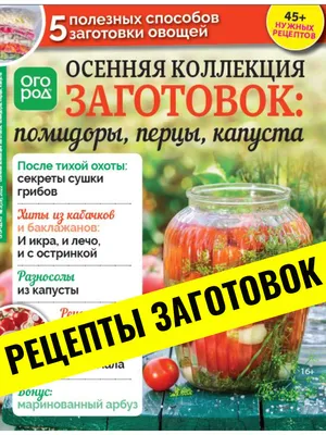 Как правильно делать и хранить заготовки на зиму, пошаговая инструкция —  читать на Gastronom.ru