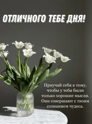 Доброе утро всем☕Отличного дня и …» — создано в Шедевруме