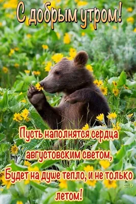 https://svetput.ru/news/novosti/2024-01-09/dobroe-utro-3594796