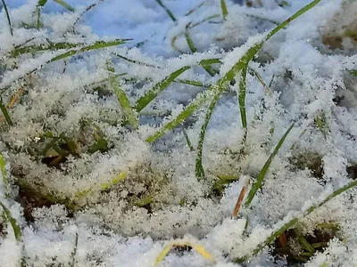 Фото снежных пейзажей: природа в белом наряде