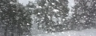 Фотографии снежной белоснежности: замело снегом
