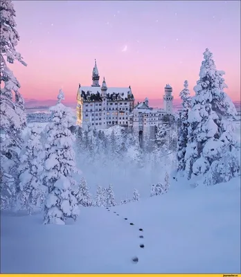 зима #лёд #замок #disney #эстетика #день #снег | Neuschwanstein castle,  Castle bavaria, Castle