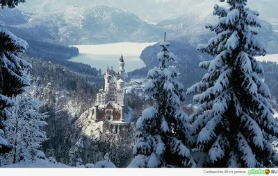 Обои Neuschwanstein Castle Города Замок Нойшванштайн (Германия), обои для  рабочего стола, фотографии neuschwanstein castle, города, замок нойшванштайн  , германия, замок, зима, лес Обои для рабочего стола, скачать обои картинки  заставки на рабочий