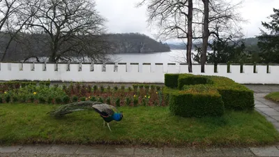 Замок ОРЛИК + пивовар Велкопоповицкий Козел из Карловых вар From Karlovy  Vary: Castle ORLIK and brewery in Velke Popovice , Чехия: туроператор –  туроператор Библио-Глобус