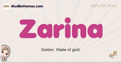 Zarina lettering explorations | Lettering, Letter logo design, Lettering  design