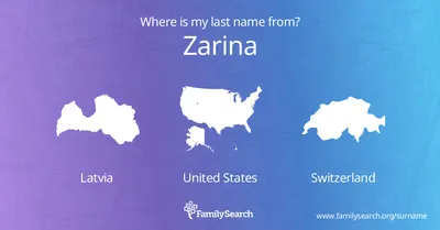 Zarina Name T Shirt - In Case Of Emergency My Blood Type Is Zarina Gift  Item Tee\" Poster for Sale by aaronmaxi6 | Redbubble