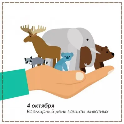 Пикет в защиту прав животных пройдет 25 марта на Театральной площади в  Нижнем Новгороде | Медиапроект «Столица Нижний»