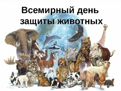 4 октября – Всемирный день защиты животных