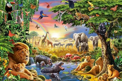 Защита животных» — создано в Шедевруме