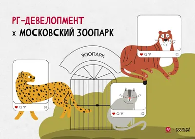 Путин одобрил закрепление в Конституции нормы о защите животных -  Российская газета