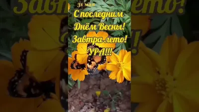 С последним днем Весны...Завтра Лето💞 - YouTube