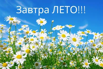 УТРО ДОБРОЕ МАЯ! - СЕГОДНЯ ПОСЛЕДНИЙ ДЕНЬ ВЕСНЫ! - Пока Весна, Привет Лето!  - ОТКРЫТКИ, картинки: ЛЕТО УЖЕ НА НОСУ...