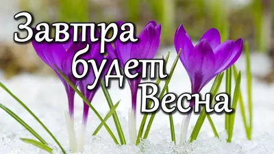 Завтра весна