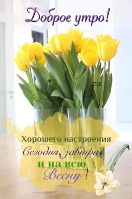 а завтра Весна — DRIVE2