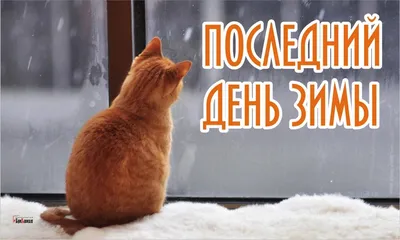 Ну, а завтра весна! (Инна Стекачева) / Стихи.ру