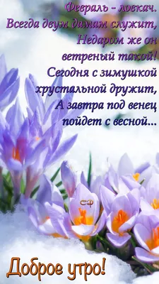 Котоматрица: Ура! Завтра ВЕСНА!!! SHAGOM DANCE а это значит совсем скоро  party