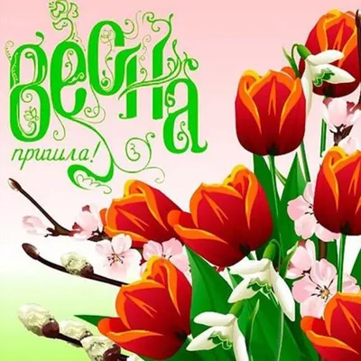 Февраль. Завтра уже весна, Елена Николаевна Щигорцова – скачать книгу fb2,  epub, pdf на ЛитРес