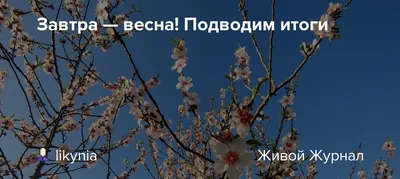 Завтра Весна!!! #грузинскаякухня#европейскаякухня#казахскаякухня ...