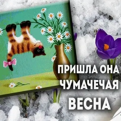 Картинка: Пусть в душе цветет весна, сегодня, завтра и всегда.