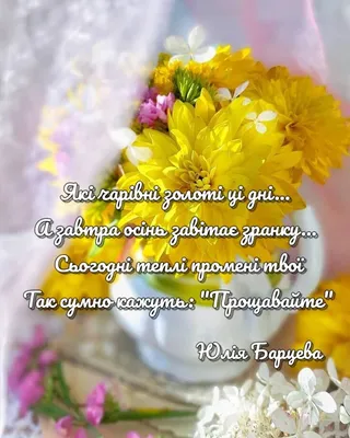 Завтра - весна. С помощью солнца природа незаметно будет менять зимние  одежды на летние. :: Алекс Аро Аро – Социальная сеть ФотоКто