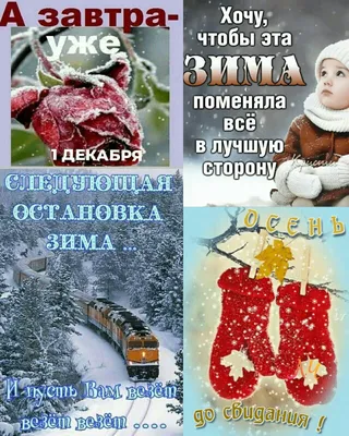 Я дарю вам радость - 🖐Доброе утро,мои дорогие! С последним днем осени! 🍂  Сегодня, последний день ноября, последний день осени... ❄Завтра зима!  ❄Прощай, еще одна осень нашей быстротечной жизни! 🍂Мне осень крикнула: «