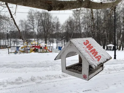 Открытки - Доброй ночи! 🍂❄ А завтра мы проснёмся ЗИМОЙ ... | Facebook