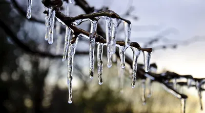 Завтра - зима!. Сохраняйте наши календари для гаджетов, чтобы красиво и  продуктивно провести последний месяц этого года! Больше красивых календарей  в хорошем качестве - в комментариях - Лента новостей Крыма