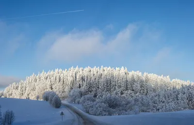 ❄️💙надеюсь завтра у меня уже …» — создано в Шедевруме