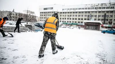 Завтра в Киеве ожидается небольшой снег с дождем и мороз до -5 | Українські  Новини