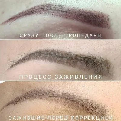 Заживший перманентный макияж бровей перед коррекцией|Зажившие пудровые брови |Хабаровск