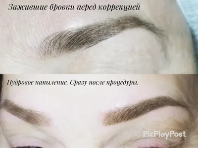 Фото татуажа бровей: зажившие брови, до и после процедуры