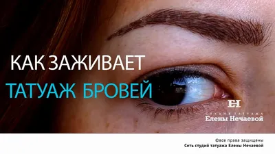 Перманентный макияж бровей в Твери - Пудровые брови | BranD