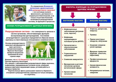 Комбинат Здоровье в Казани - история, архитектура советской эпохи,  реконструкция и мнения горожан - Инде