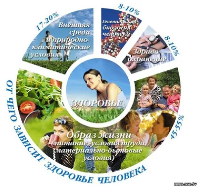 Охрана здоровья и здоровый образ жизни