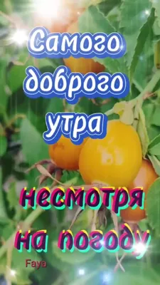 Открытки и картинки с пожеланиями Здоровья