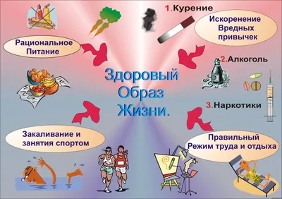 Здоровый образ жизни - Гимназия №1 г. Челябинска - «Первая школа»