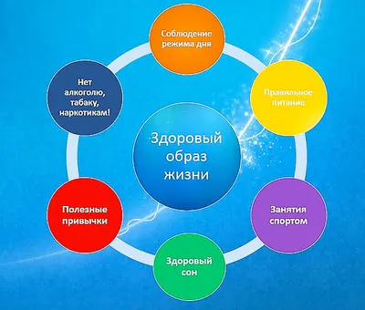 ФОРМИРОВАНИЕ ЗДОРОВОГО ОБРАЗА ЖИЗНИ У ШКОЛЬНИКА - Новодворская средняя школа