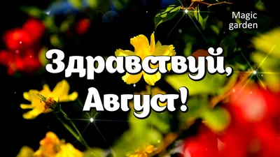 Август… Лето… — Бесплатные открытки и анимация