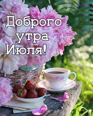 Здравствуй июль 🌼 Хочется рухнуть в траву непомятую, В небо уставить глаза  завидущие, И окунуться в цветочные запахи, И без конца обожать … | Instagram