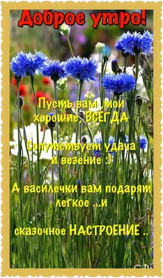 Пин от пользователя Светлана на доске Здравствуй, лето! | Доброе утро,  Утренние цитаты, Лето