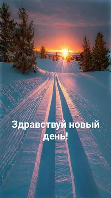 ✓Здравствуй, новый день!✓Доброе утро! | Доброе утро, Открытки, Случаи