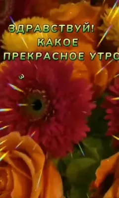 Вдохновение ДУШИ - ВСЕМ, ВСЕМ ДОБРОЕ УТРО!!! Пусть этот день Вам  запомнится, как один из лучших. Пусть сегодня удача улыбнётся именно Вам!  Нежность пусть согреет сердце. Любовь подарит радость душе!!! | Facebook