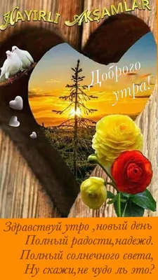и снова новый день и снова здрасте: 1 тыс изображений найдено в  Яндекс.Картинках | Счастливые картинки, Доброе утро, Христианские картинки